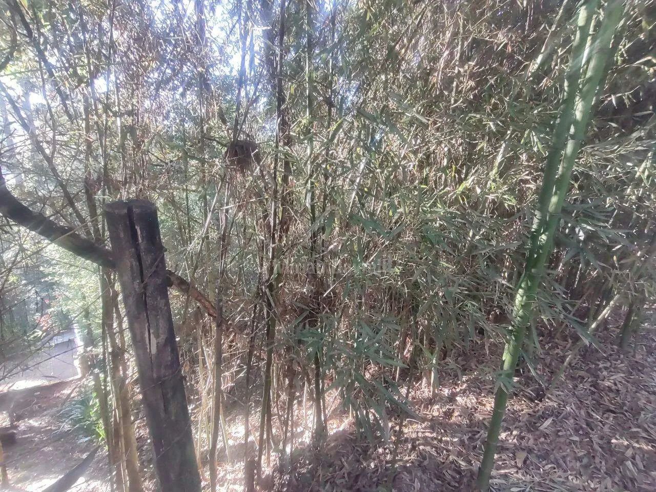 Lote em condomínio Vila del Rey anexo - Foto 5