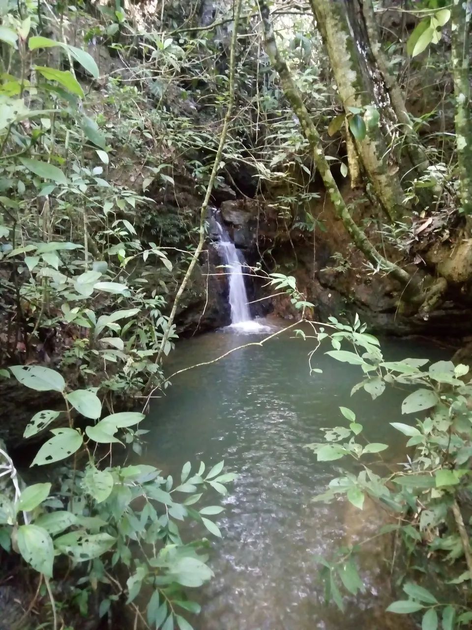 Chácara no Corumbá 3 - Foto 4