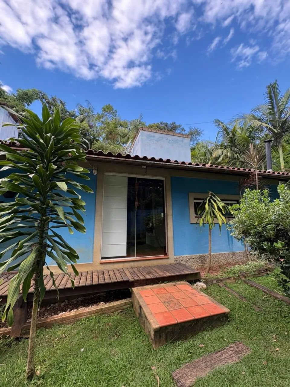 Foto - Juiz de Fora - Graminha