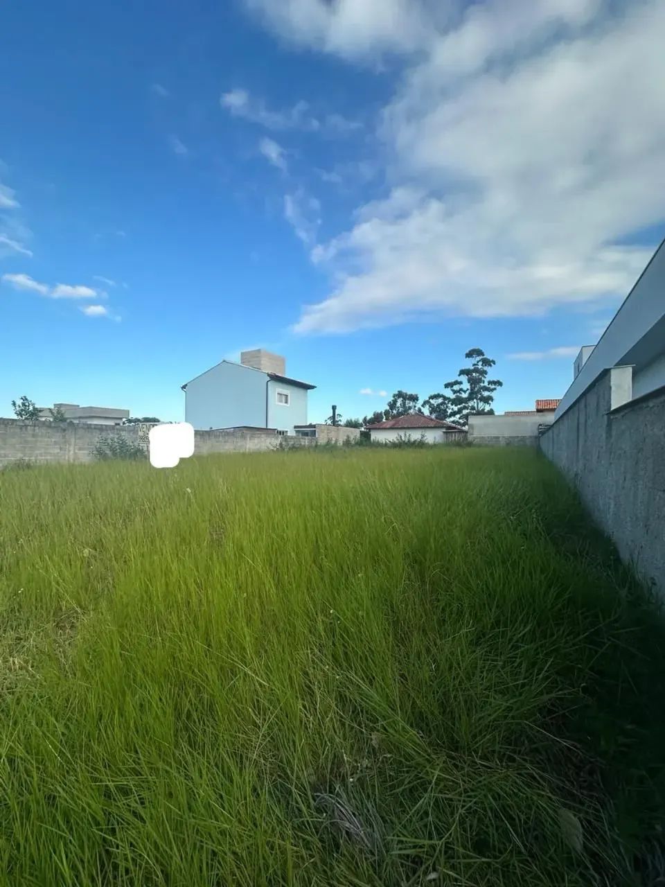 Excelente terreno com Escritura Pública Norte da Ilha - Foto 4