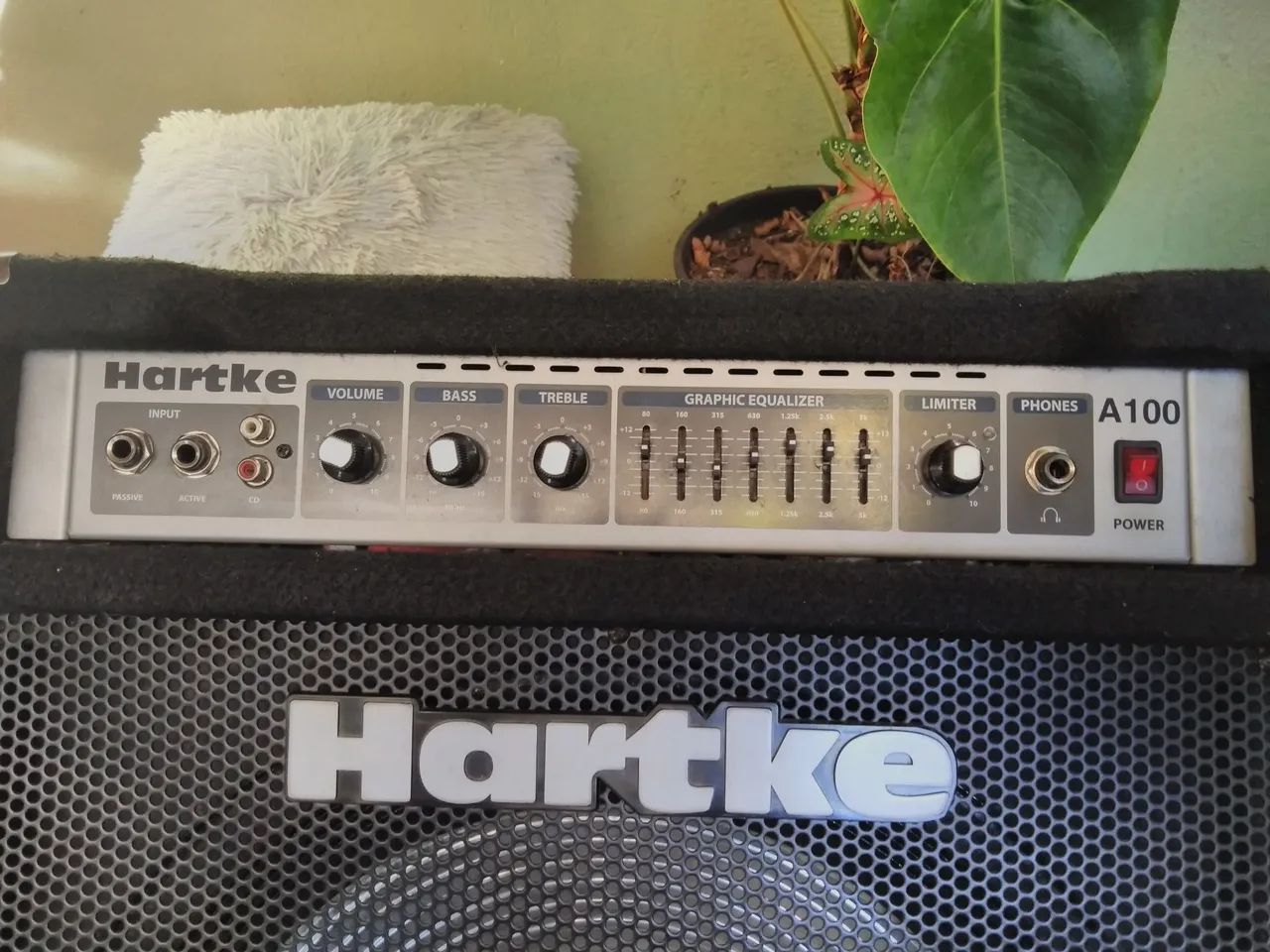 Hartke A100 