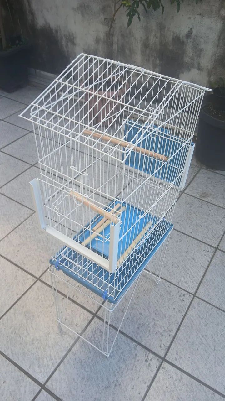 Gaiola  - Foto 3