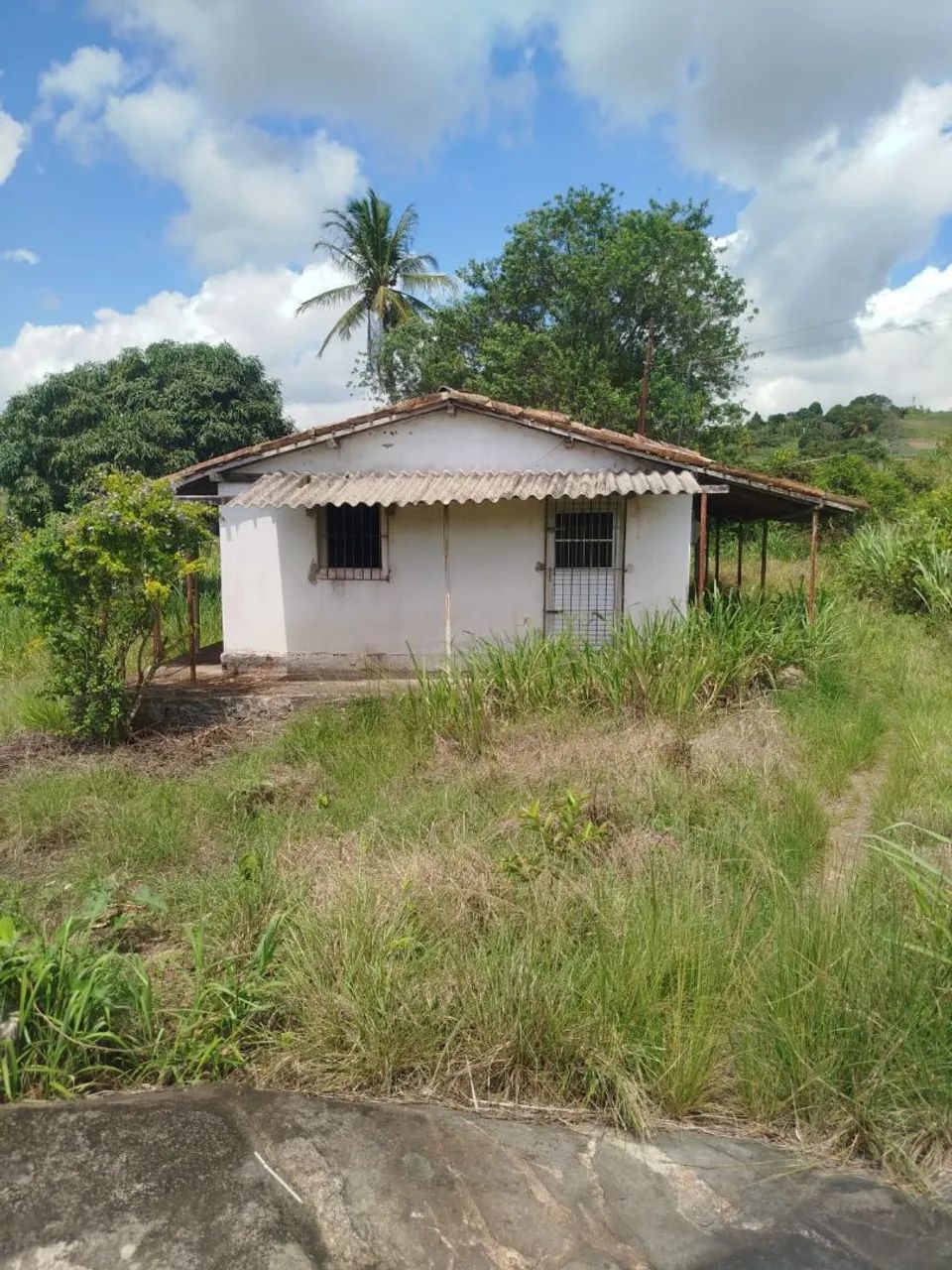 Sítio Mocotó - Vitória de Santo Antão - PE - Foto 5