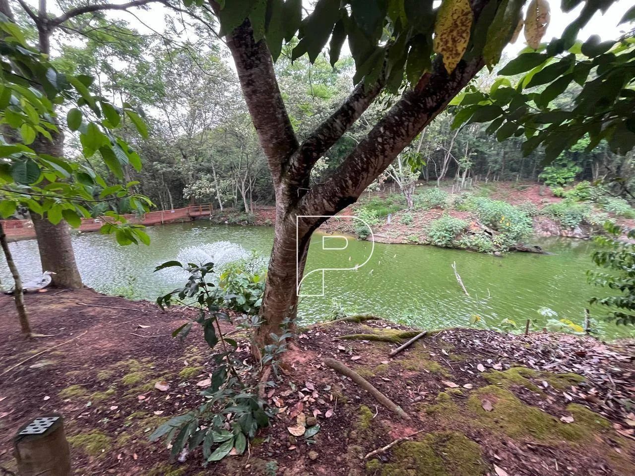 Terreno à venda, 250 m² por R$ 250.000,00 - Vila D'Este - Cotia/SP - Foto 10