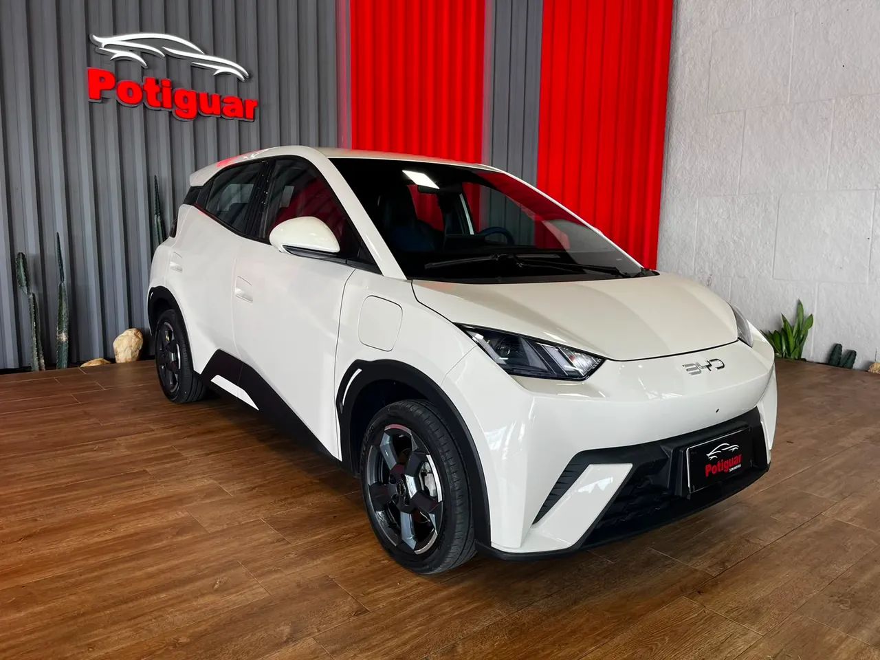 BYD Dolphin Mini (Elétrico) 2025 - Foto 2