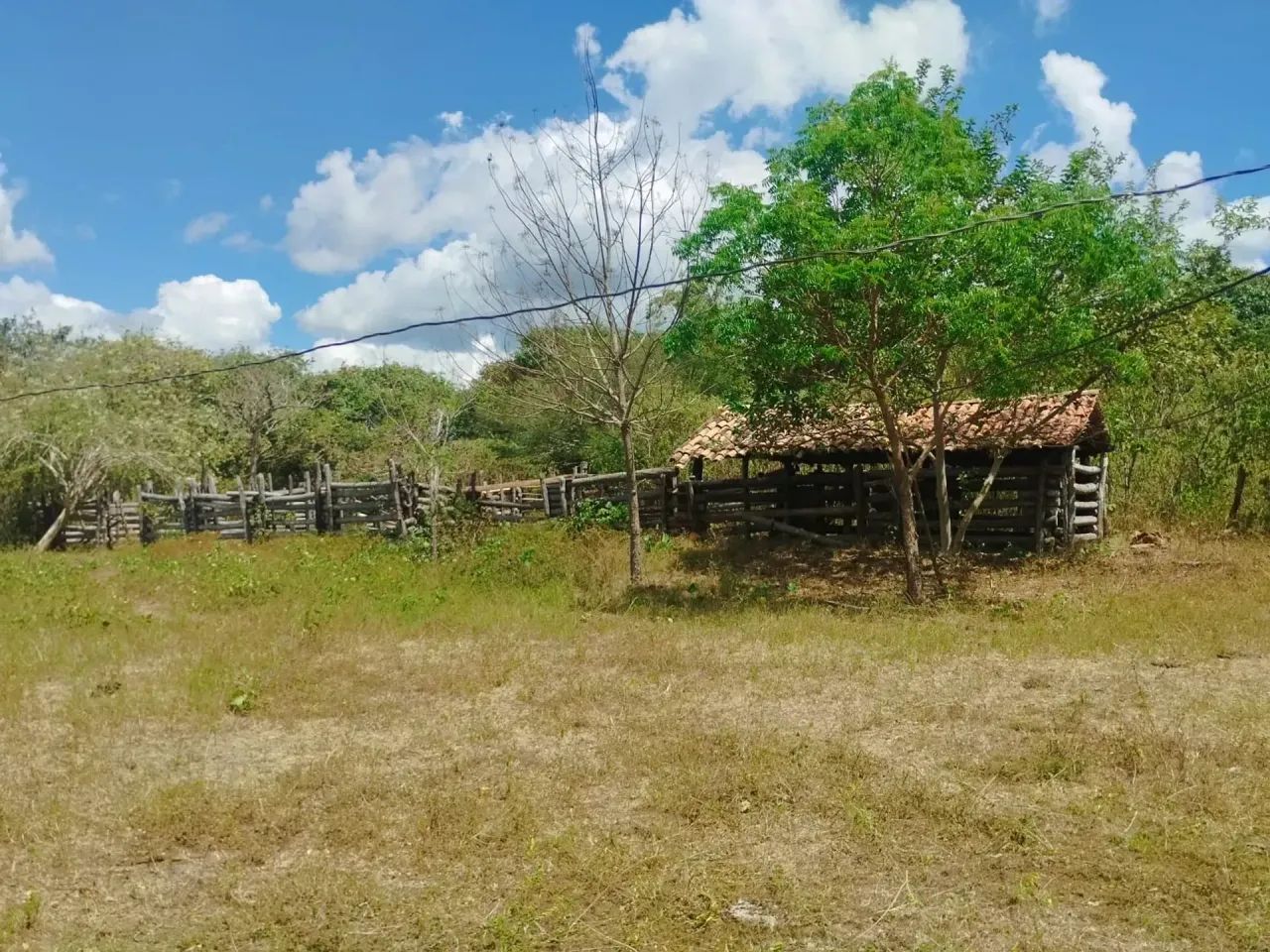 FAZENDA: Fazenda de 310 hectares a venda na beira do rio em Chapadinha-MA - Foto 7