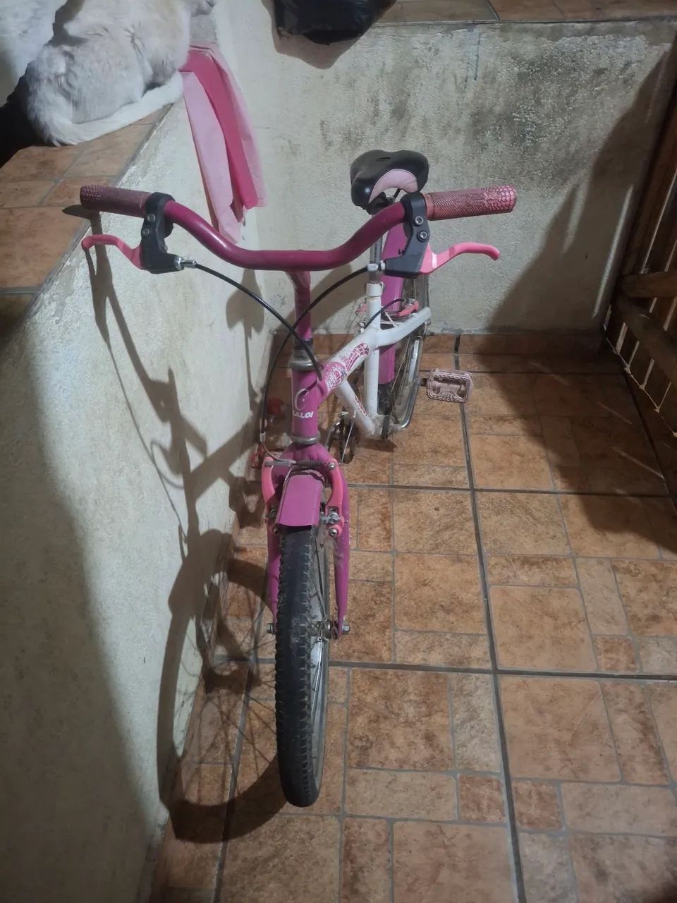 Bicicleta ? - Foto 2