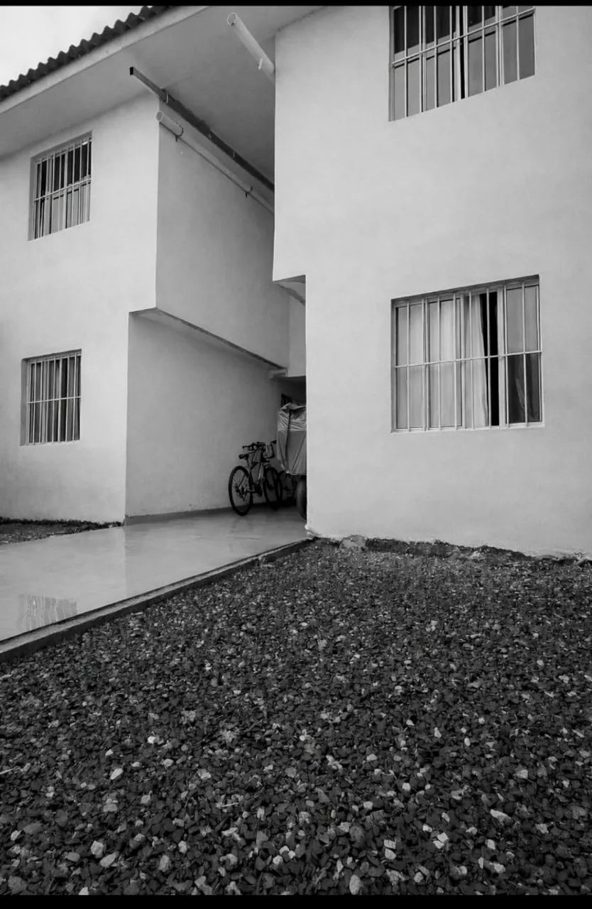 Foto - Fazenda Rio Grande - Eucaliptos