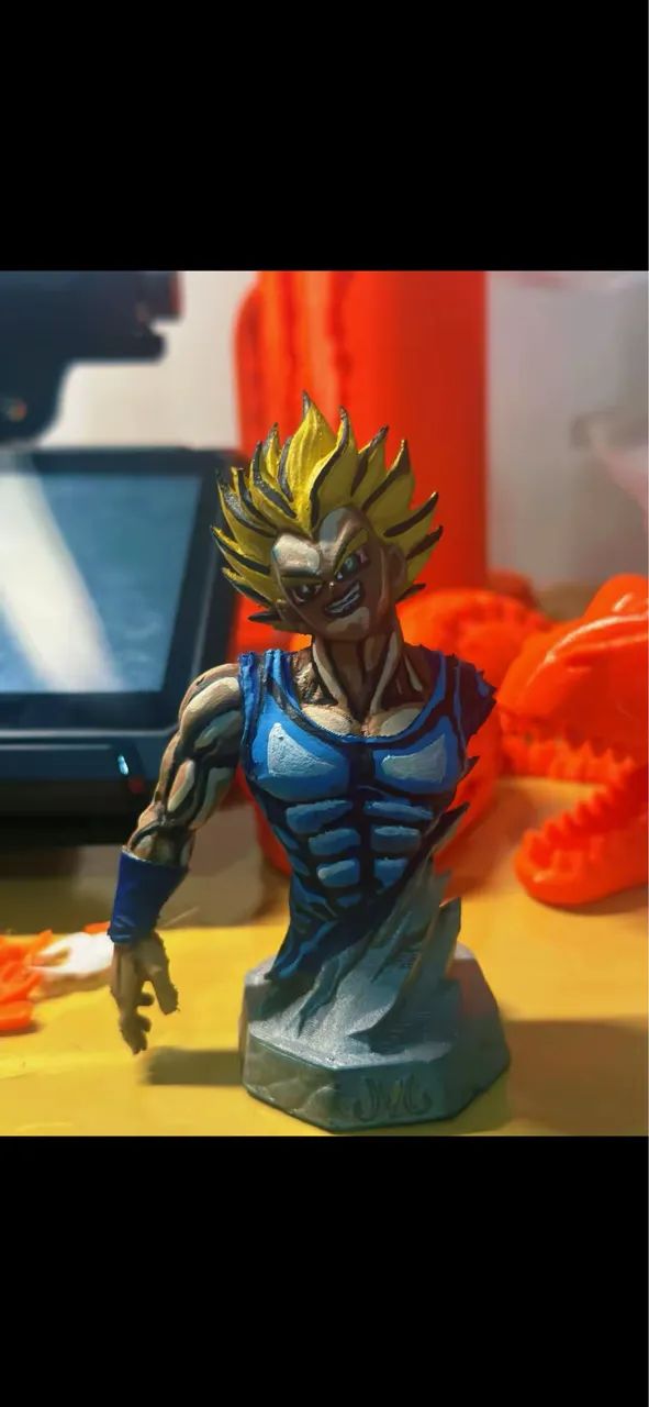 Majim Vegeta  - Foto 4