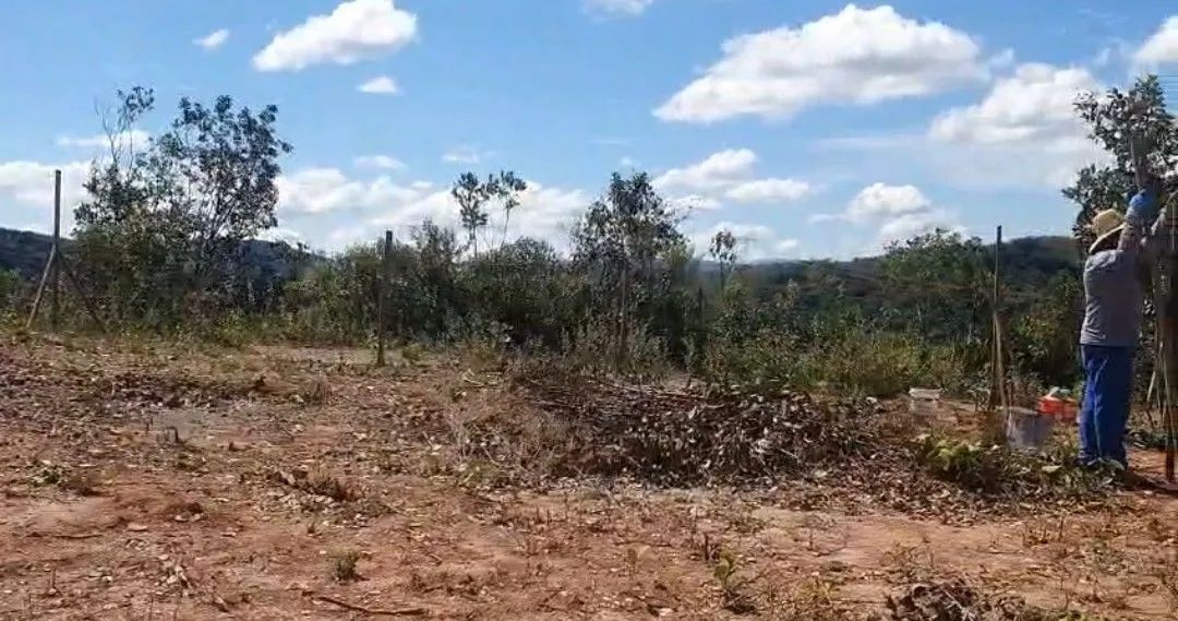 LOTES EM NOVA LIMA E JABUTICATUBAS  - Foto 3