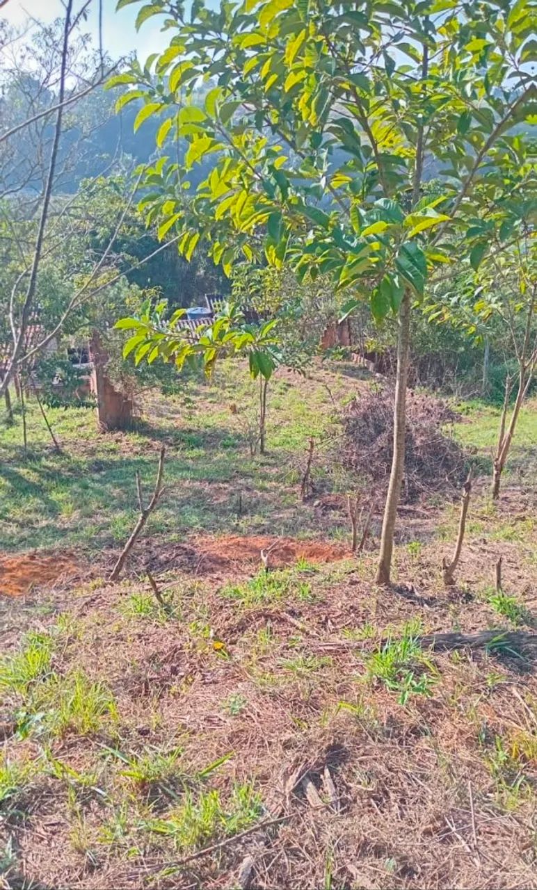 Terreno Pinheiral - Oriente R$40mil - Foto 2