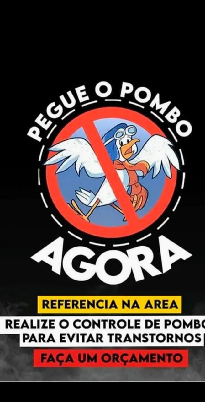 Controle biológico de pombos e morcegos . - Foto 2