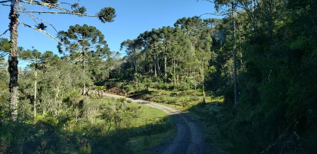 Sitio em Urubici/chácara em Urubici/Terreno em Urubici - Foto 2