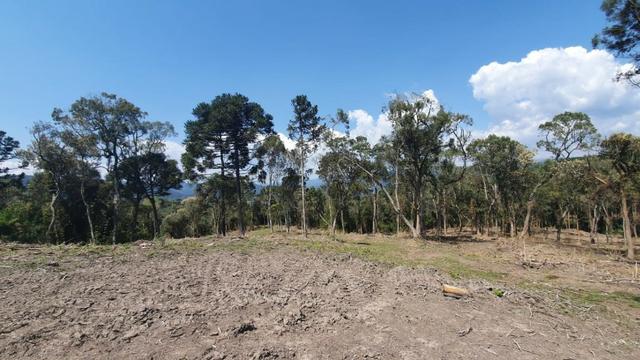 Sitio em Urubici / chácara em Urubici /próximo a Rio Rufino - Foto 6