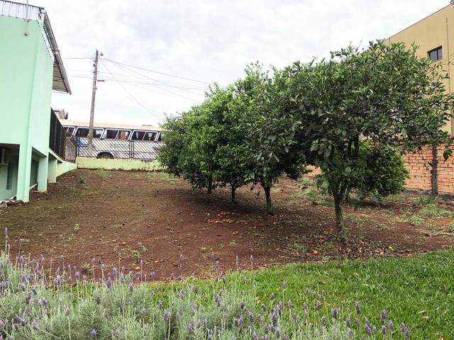 Terreno urbano em Nonoai-RS - Foto 6