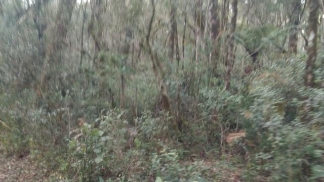 Fazenda plana - Foto 2