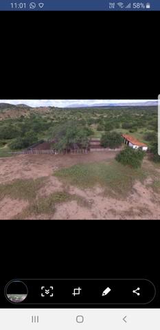 Fazenda - Foto 7