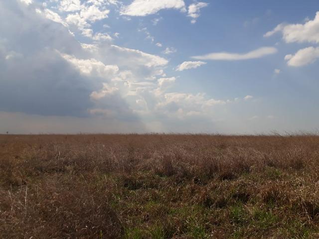 Fazenda 1000 Hectares para Lavoura em Bonito - Foto 4