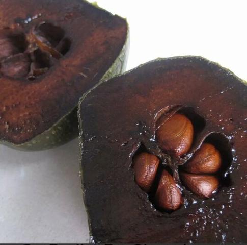 Vendo muda de sapota mais conhecida como pé de chocolate - Foto 2