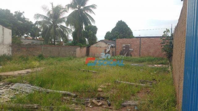 Terreno comercial para locação, Rua Rafael Vaz e Silva, 2419 - A - Nossa Senhora das Graça - Foto 3