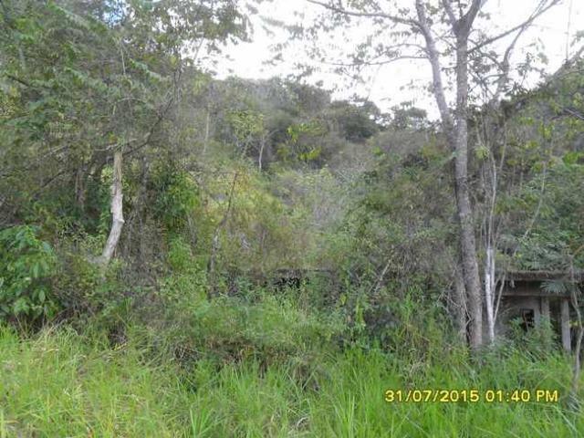 1683/Terreno de 3,19 ha com linda cachoeira e ótima localização - Foto 4