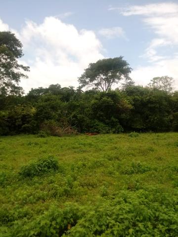 Chácara - Foto 5