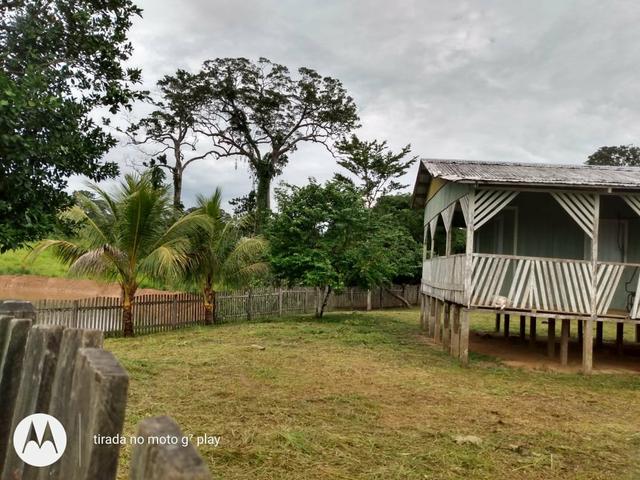 Colônia com 100 hequitare de terra por 160.000 - Foto 6