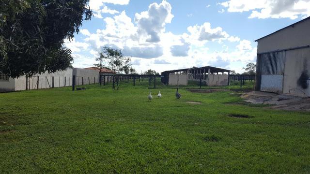 JP 013 -Ótima fazenda colado no Gama,excelente localização - Foto 16