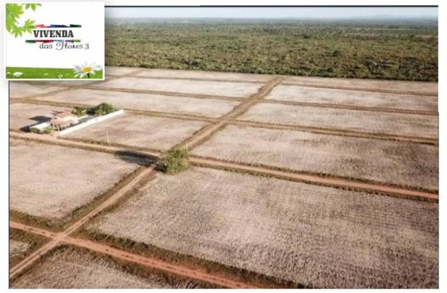 Lotes em Trairi - Foto 5