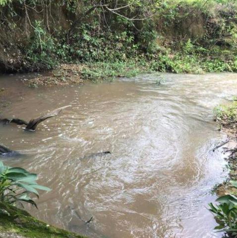 Chácara de 20mil Mt à venda a 80 km de Goiânia - Foto 7