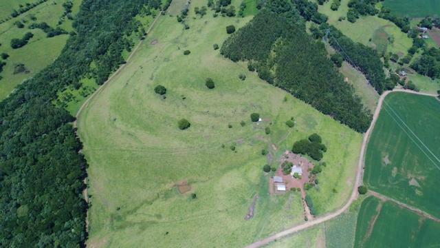 Área rural localizado na cidade de Lindoeste-PR - Foto 11