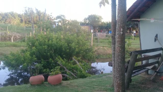 Lindo sitio Imaruí figueira grande - Foto 16