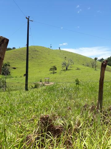 Fazenda com 31 alqueires es - Foto 3