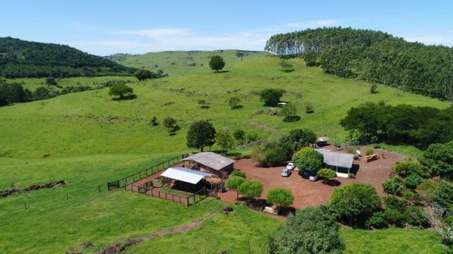 Área rural localizado na cidade de Lindoeste-PR - Foto 9