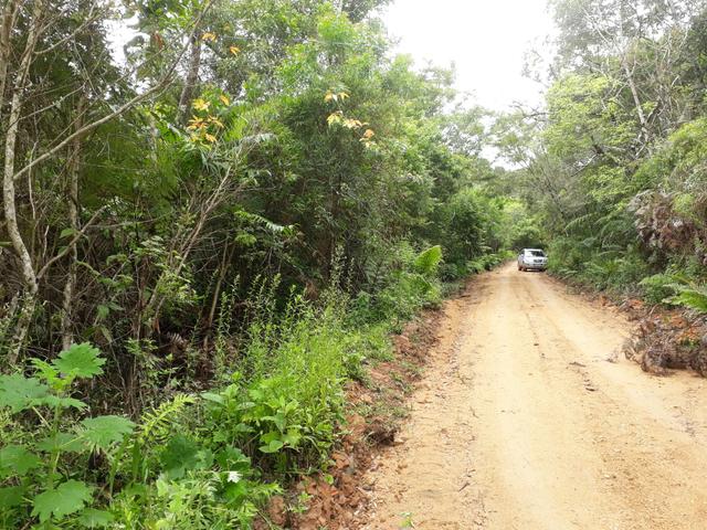 VENDO LINDA CHÁCRINHA DE 2.000m2° NA REPRESA DO CAPIVARI !!! - Foto 9
