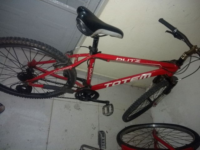 Bicicleta totem