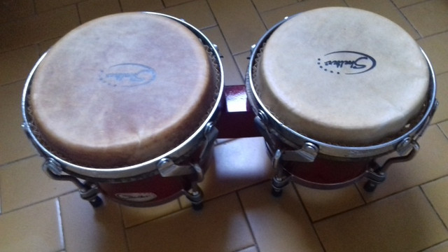 Bongo - Foto 2