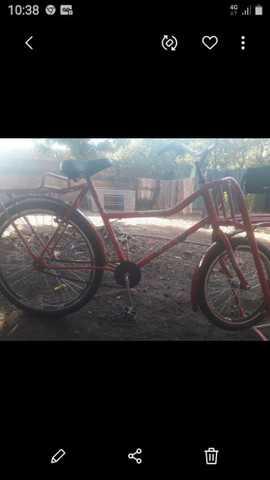 Bicicleta Cargueira - Foto 2