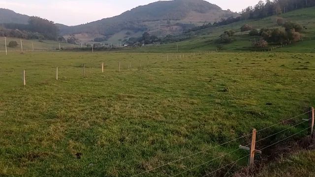 Chácara 28 hectares em potreiro, com uma visita panorâmica maravilha  - Foto 3