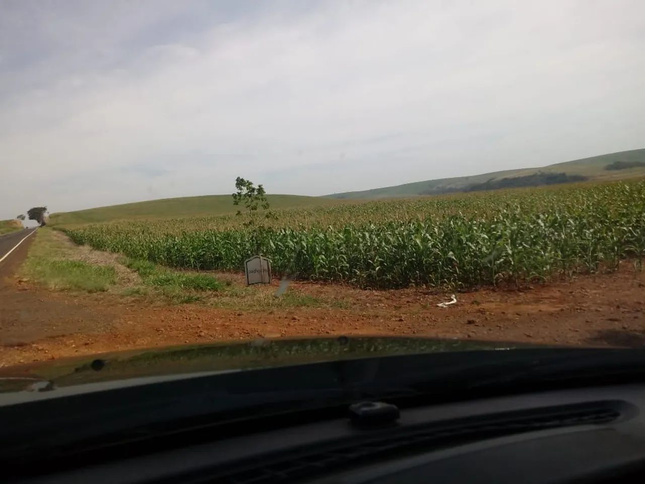 Fazenda 575 alqueiro  - Foto 3