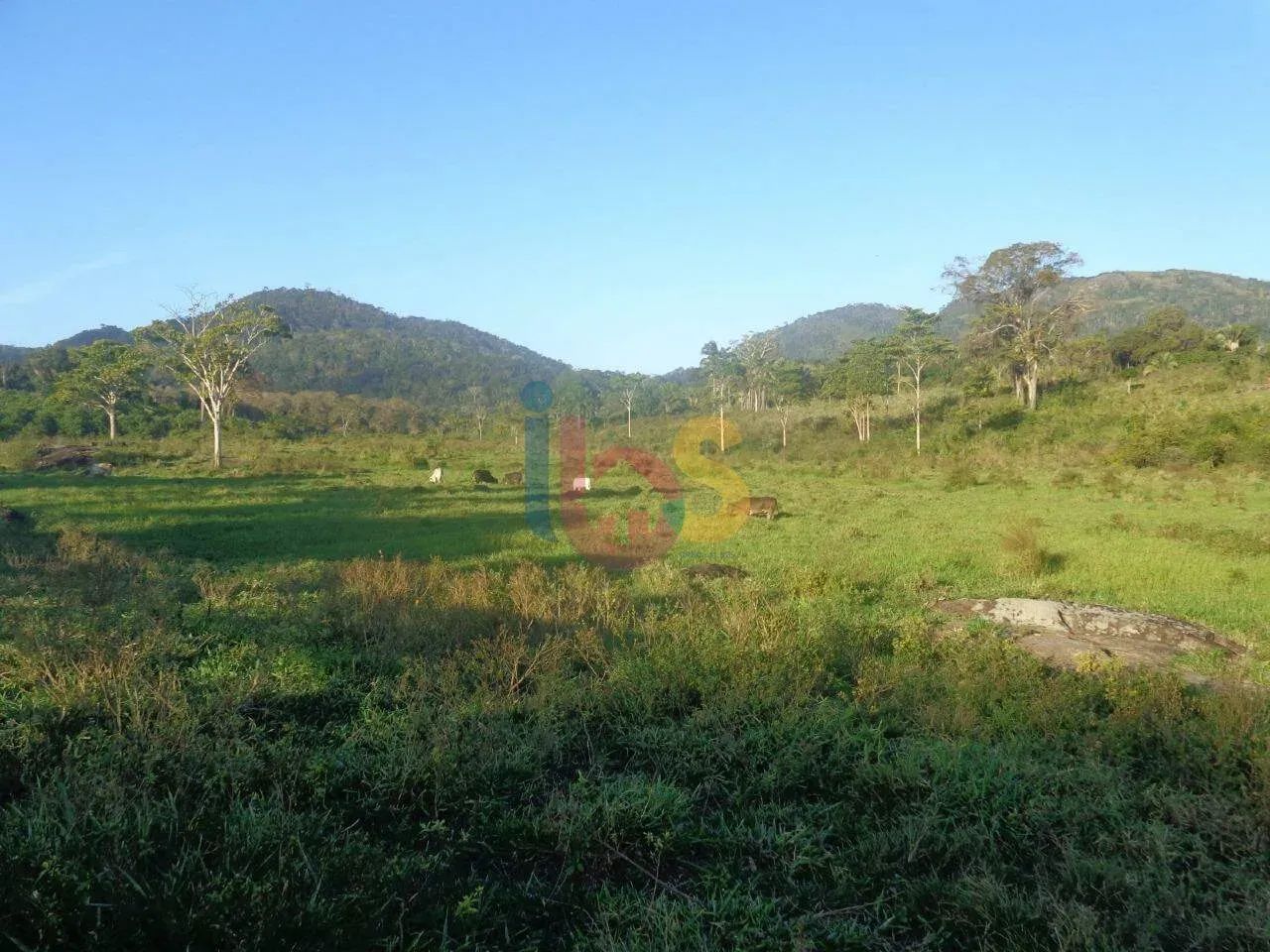 Fazenda Maranata - Foto 5