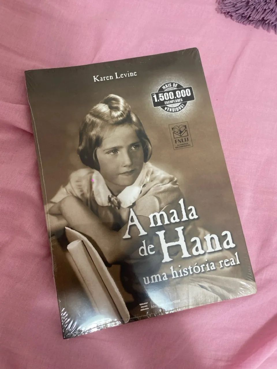 A Mala de Hana - Karen Levine