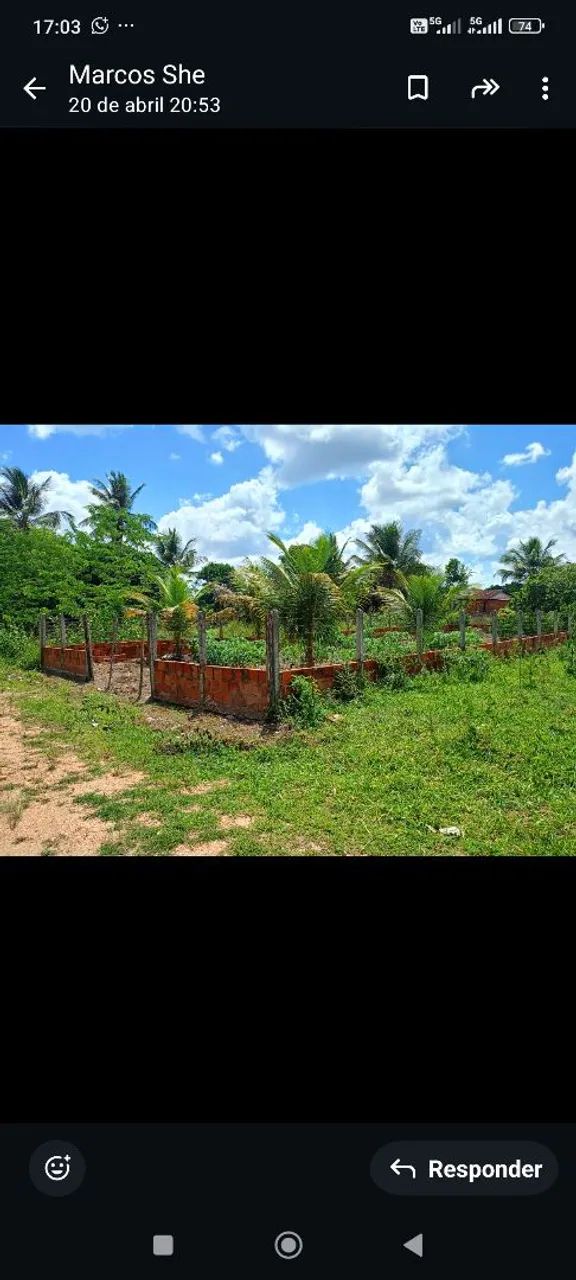 Terreno  - Foto 3