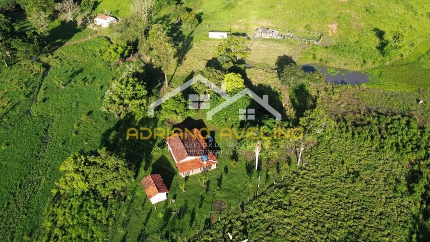 Fazenda 169,4 hectares - terra pronta