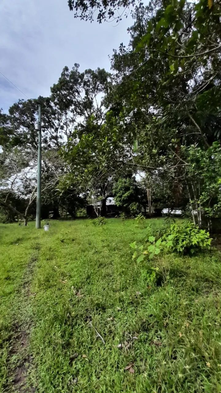 Oásis Amazônico - 600.000 m² no Lago Janauacá: Pronto para seu Projeto de Hotel Florestal  - Foto 2