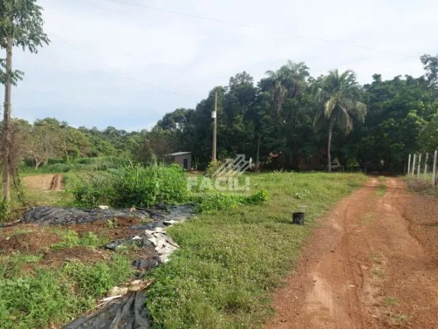 Área Rural 3 Alqueires | Documentada + Tanques de Peixe | Próx. Palmas | Alto Potencial