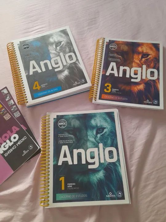 Livros Anglo Ensino Médio - 1ª Série - Completo - Foto 3