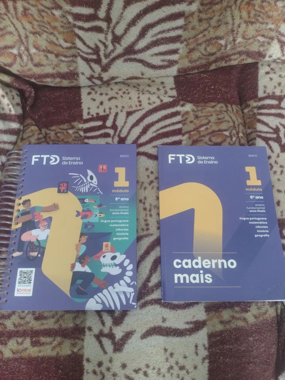 Livros FTD 8° ano 
