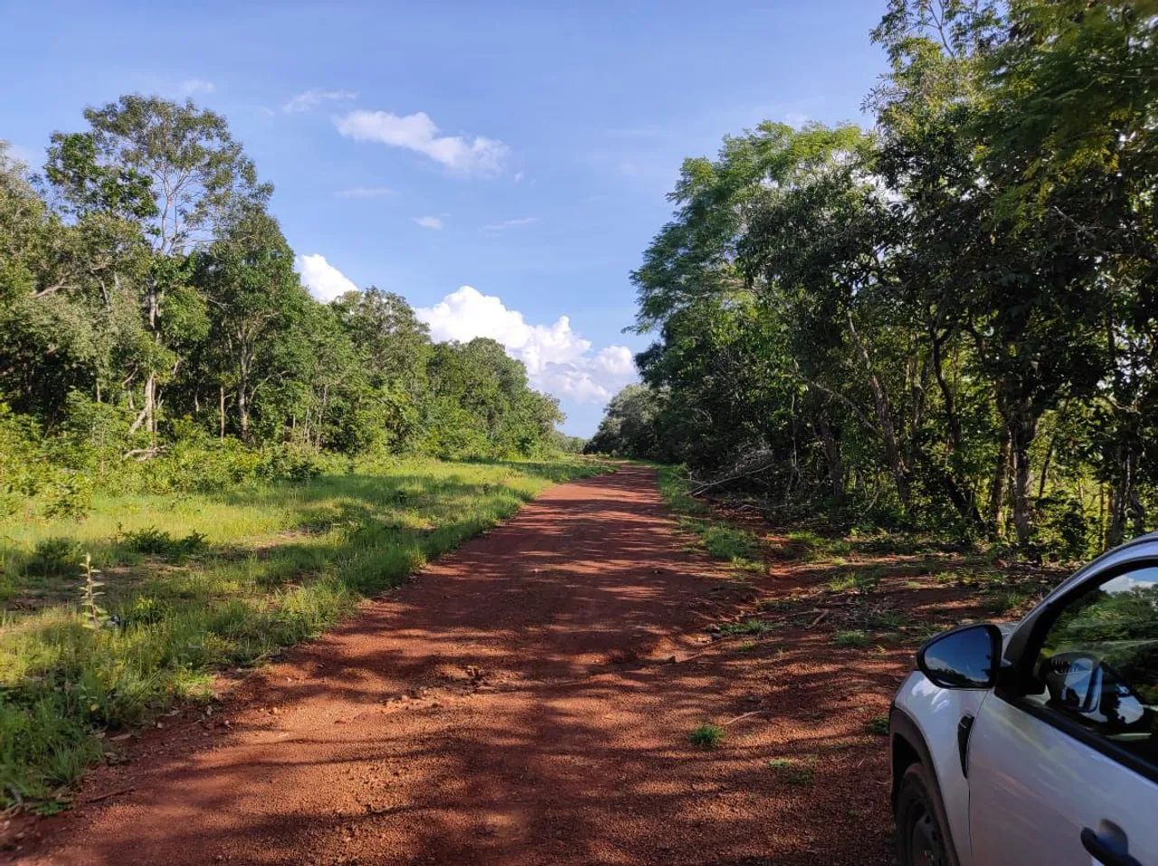 Fazenda 210 alqueires em Crixás no Tocantins 20 milhões. - Foto 5