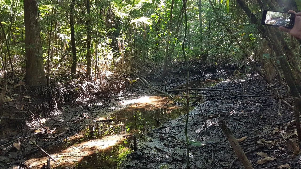 Terreno para formar Chácara  - Foto 4